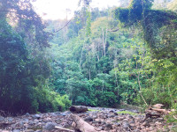 Parque National Carara